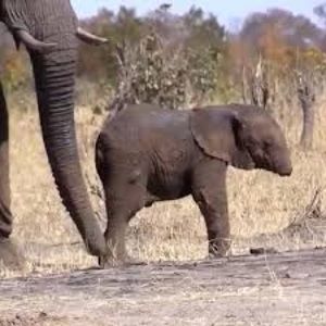 Meet your Posher, Jc